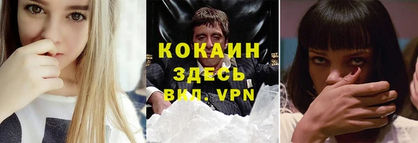 мяу мяу мука Дмитров