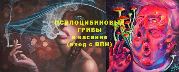 прущие крисы Дмитриев