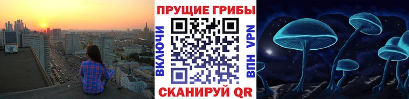 Купить закладки  Обнинск  Псилоцибиновые грибы ЛСД 